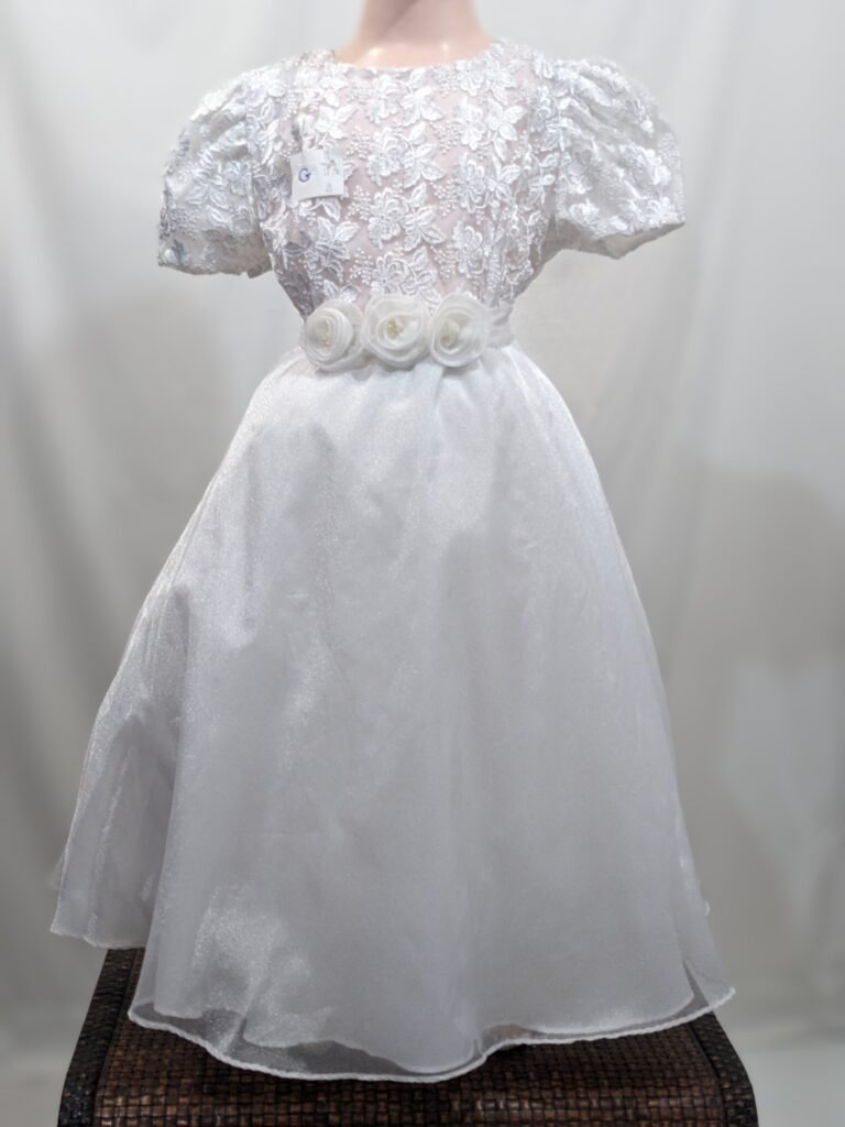 luxurious girl dress