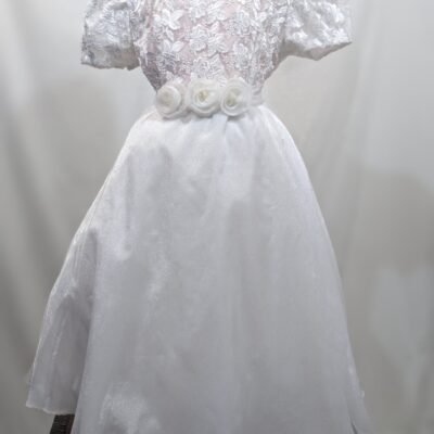Elegant girl dress