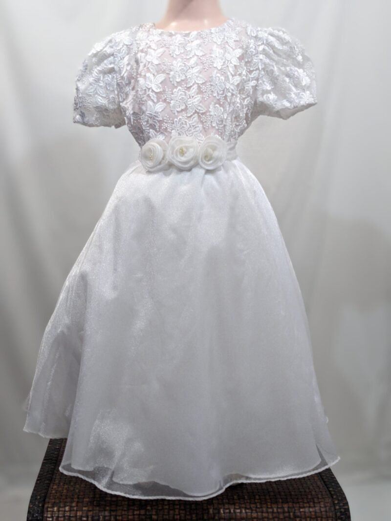 Elegant girl dress