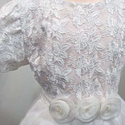 2025/11/1000064742-1-scaled.jpg luxurious girl dress