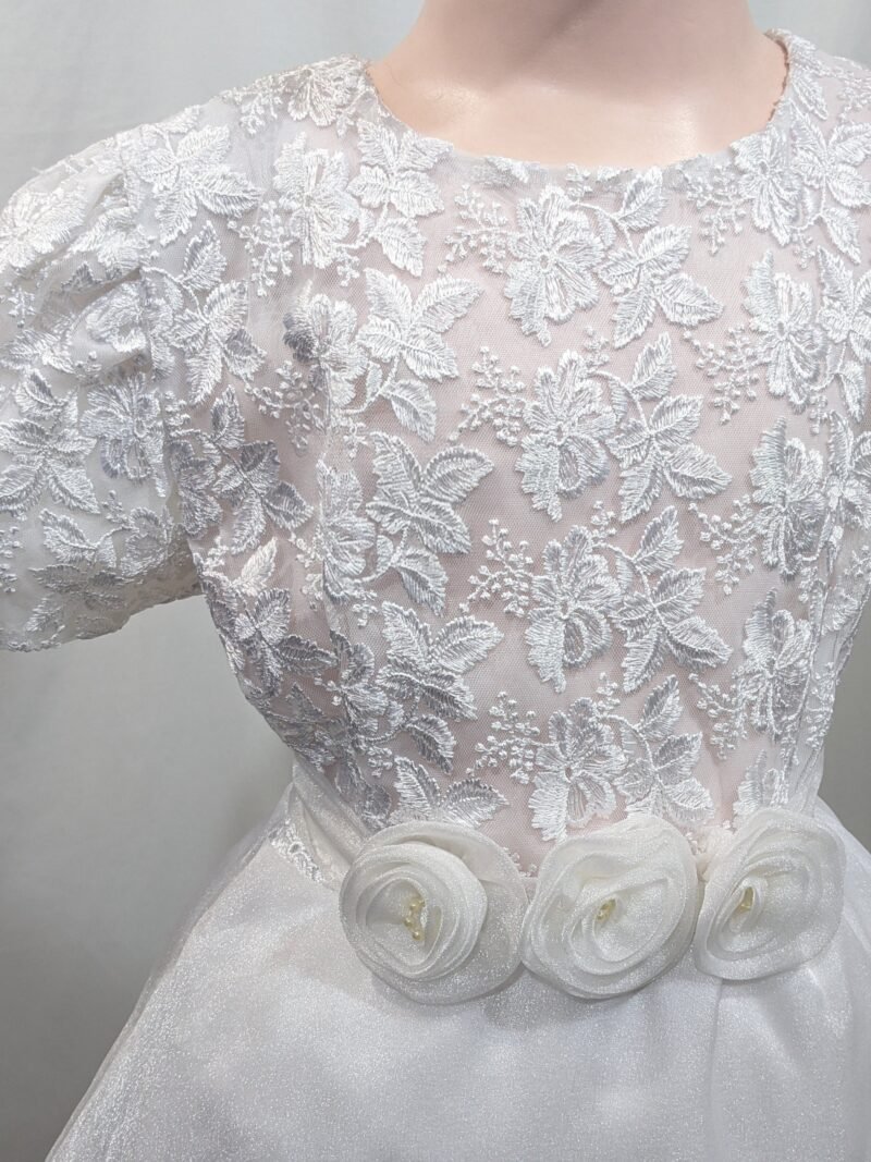 2025/11/1000064742-1-scaled.jpg luxurious girl dress