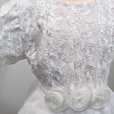 Elegant girl dress