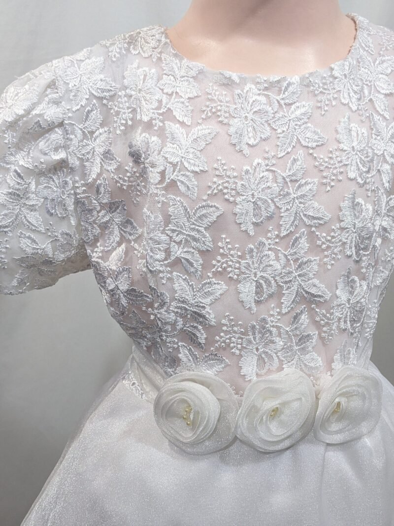 Elegant girl dress