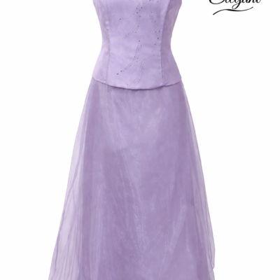 women 2 piece dress